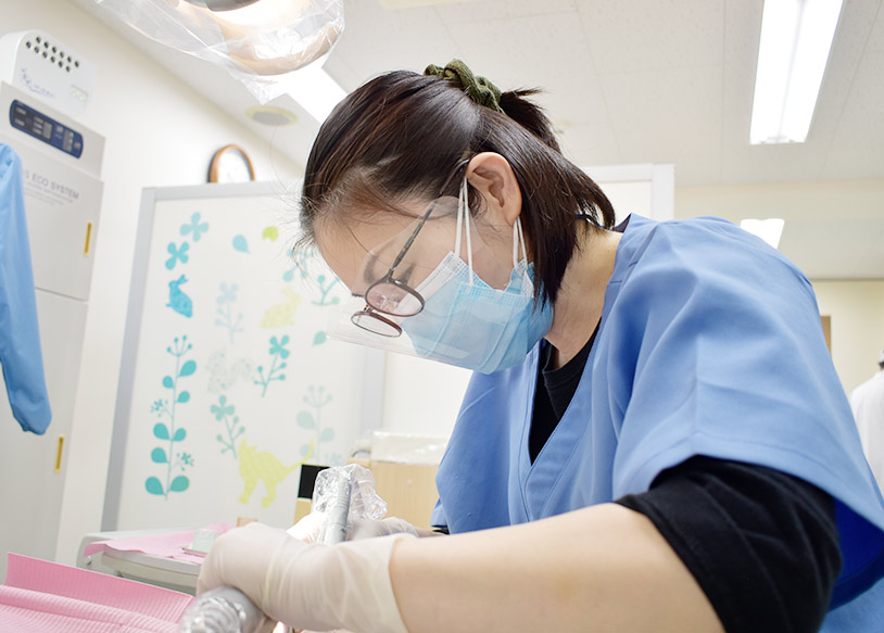 しのはら歯科医院　一般歯科 早期治療